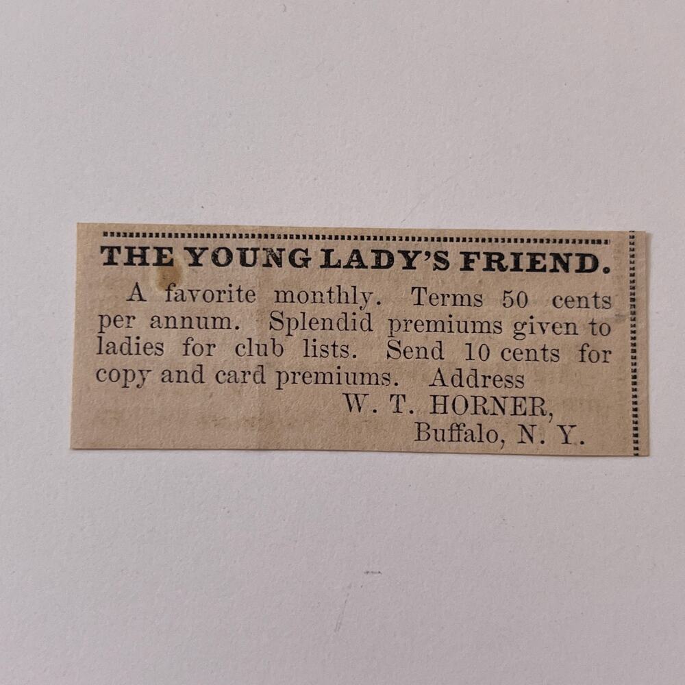W.T. Horner The Young Lady's Friend Buffalo NY 1867 Original Ad SAG9-S5